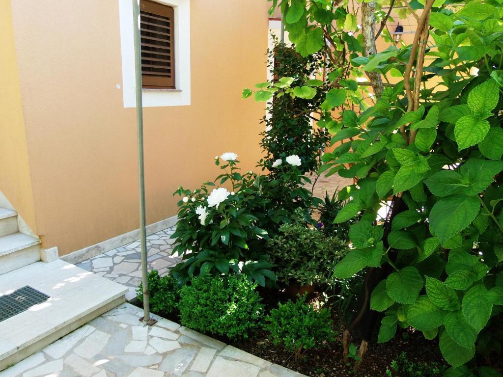 Apartments Beba Mali Lošinj Kamer foto