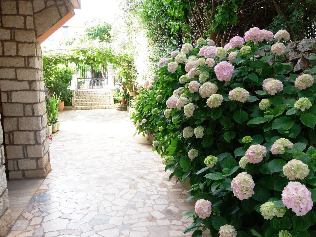 Apartments Beba Mali Lošinj Kamer foto