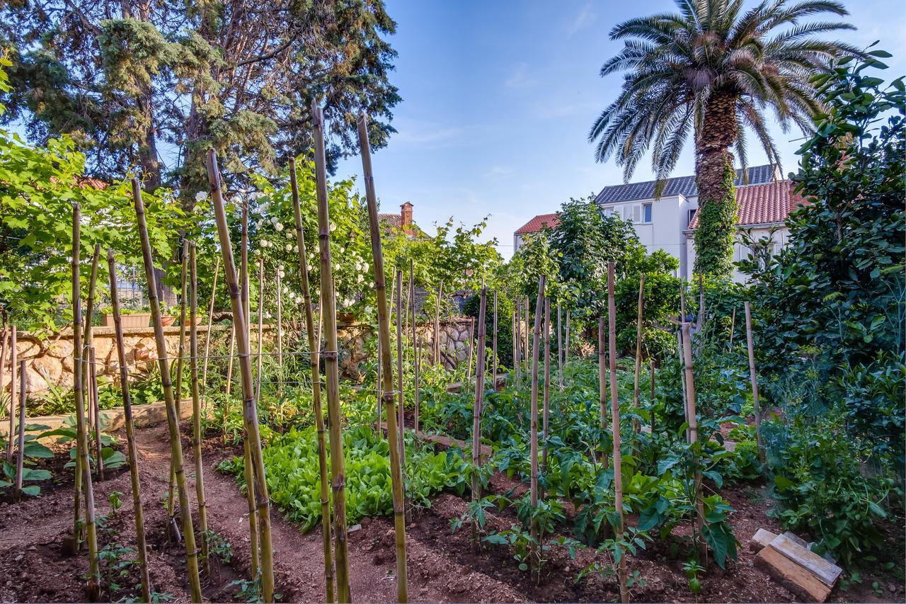 Apartments Beba Mali Lošinj Buitenkant foto